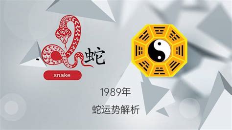 1989年是什么蛇|1989属蛇的五行 1989年属蛇蛇是什么命